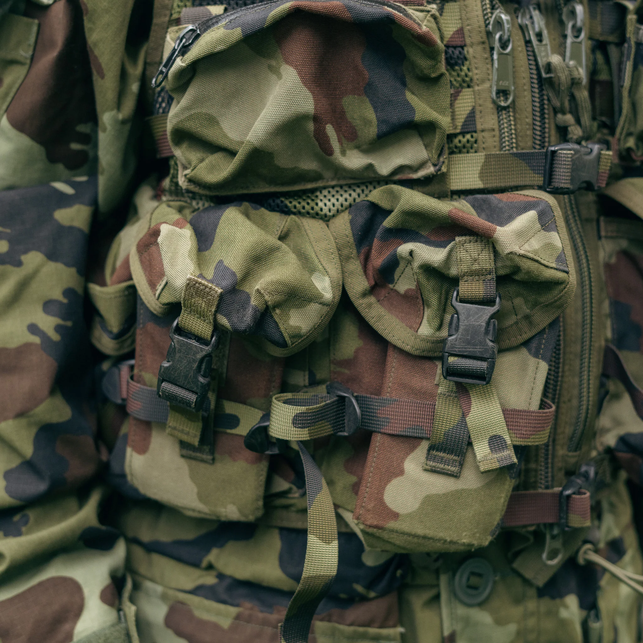 Issued Irish DPM Assault Vest - Image 6