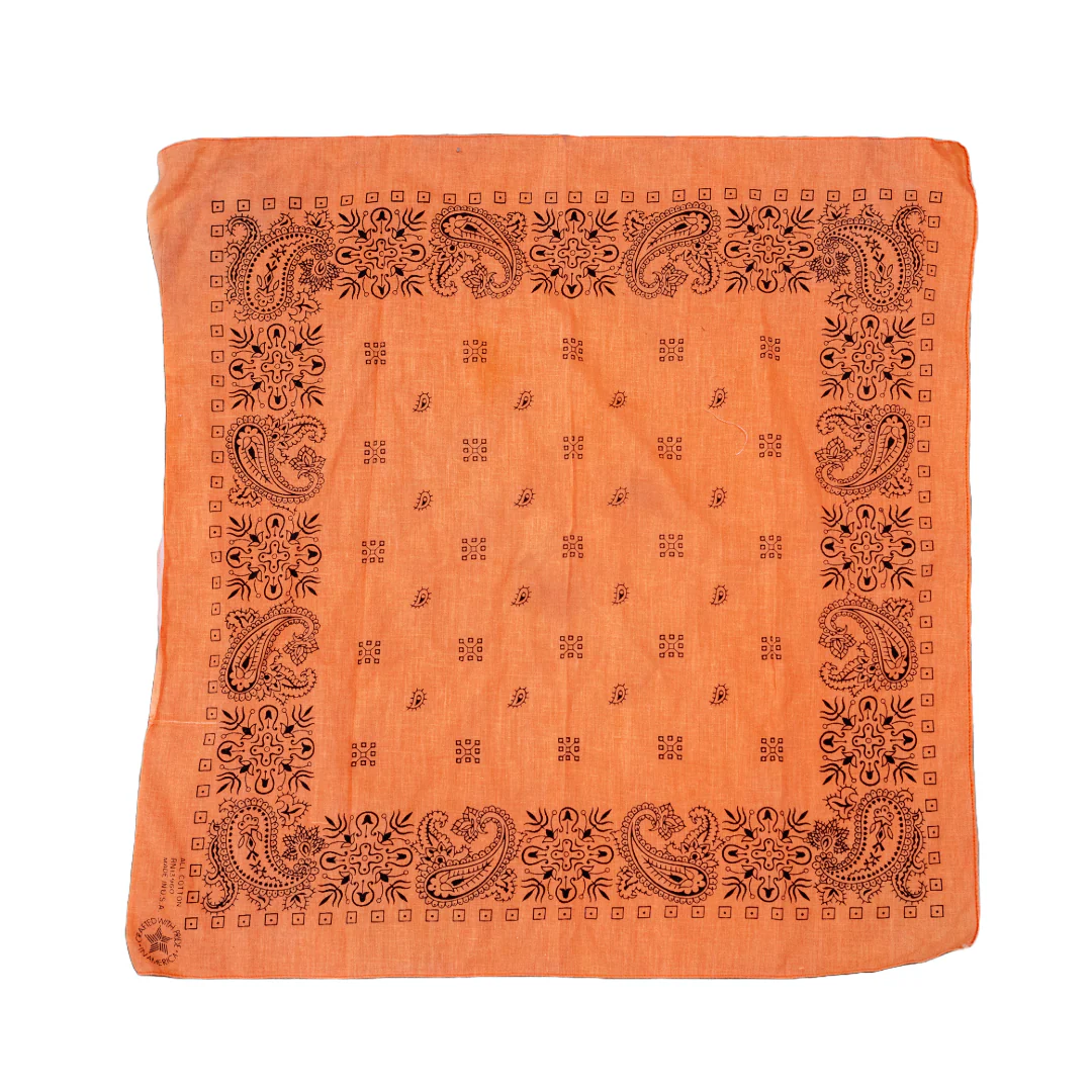 Vintage USA-Made Paisley Bandana - Image 14